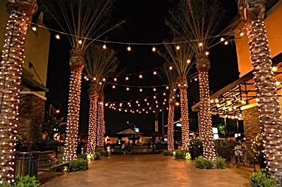 Palm tree wraps and bistro string lighting, Orlando FL